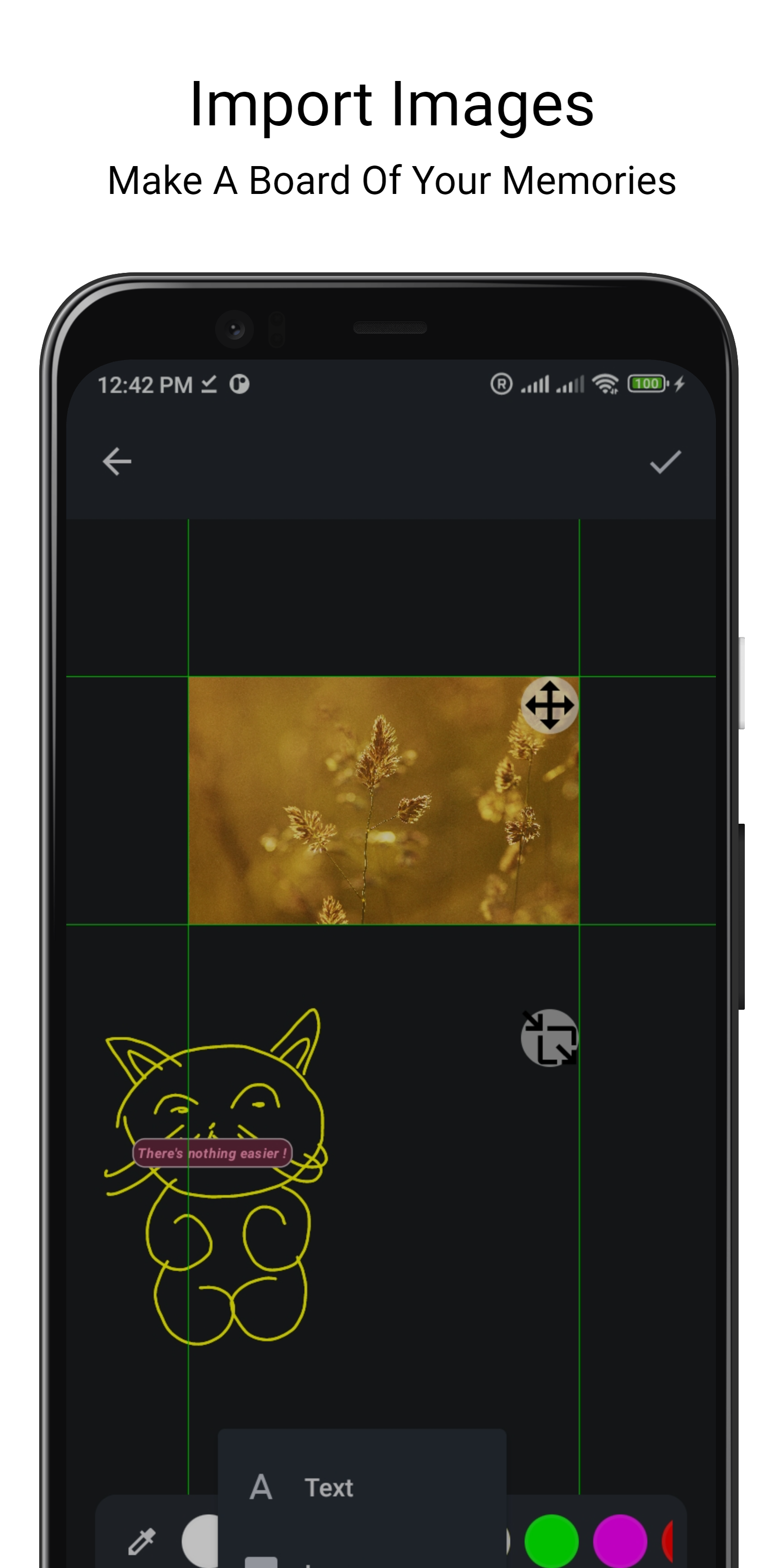 Import and customise screenshot